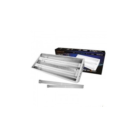 Kit néons 2 x 55W Starlite 6500K de Cis Products