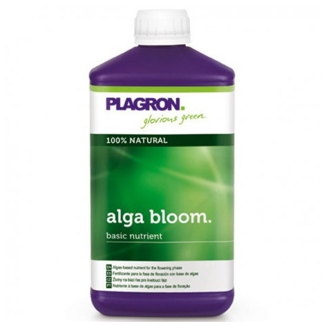Algua Bloom 1L de Plagron