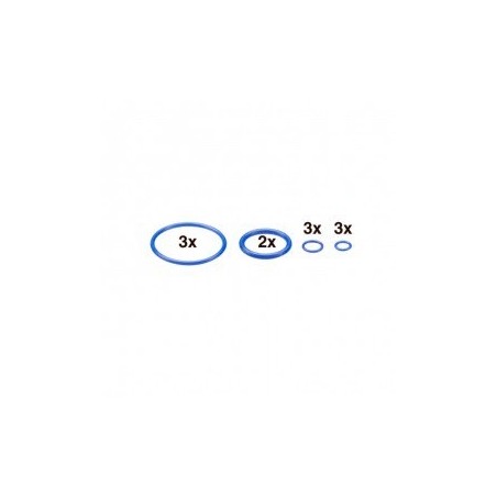 Set de joints pour Mighty