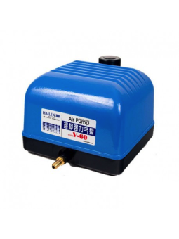 Pompe à air V60 de Hailea