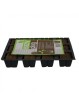 Plaque de 12 cubes de germination de Eazyplugs