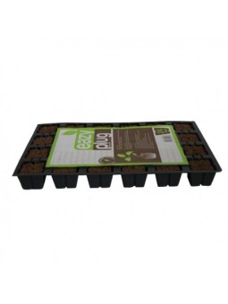 Plaque de 24 cubes de germination de Eazyplugs