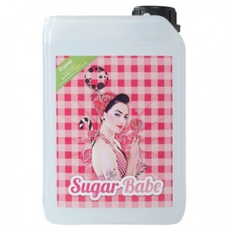Sugar Babe 10lde Vaalserberg Garden