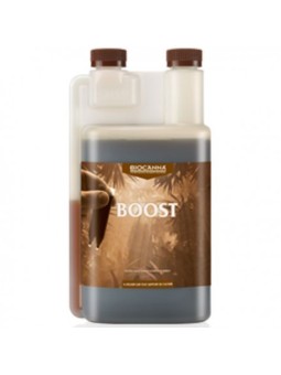 Boost  1l de Biocanna