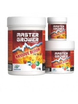Massive Bloom 100g de Hydropassion