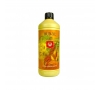 Bud XL 500ml de House and Garden