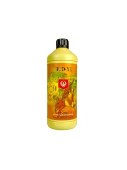 Bud XL de House and Garden