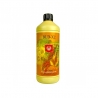 Bud XL 500ml de House and Garden