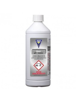 Solution Ph-Up 1 litre de GHE