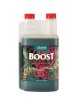 Canna Boost Accelerator 1 L