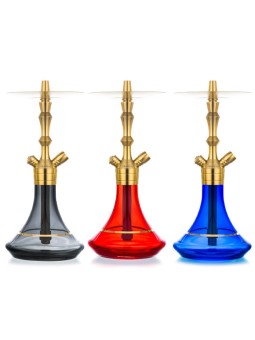 Chicha Aladin MVP 360  Gold Edition