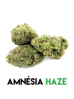 Fleurs CBD pour pot pourri Amnesia