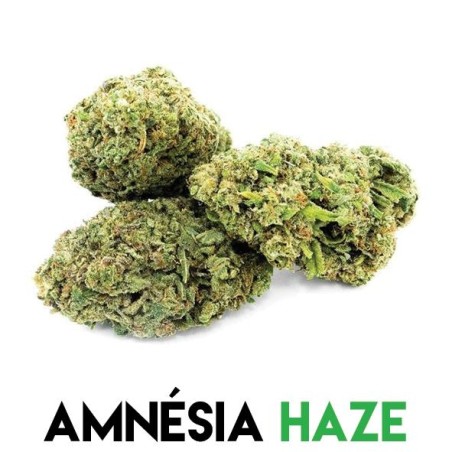 Fleurs CBD pour pot pourri Amnesia