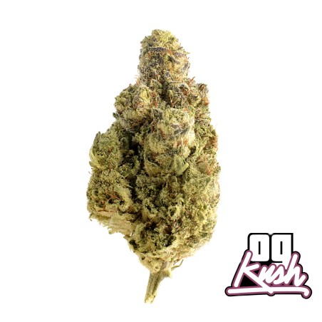 Fleurs de CBD pour pot pourri OG Kush