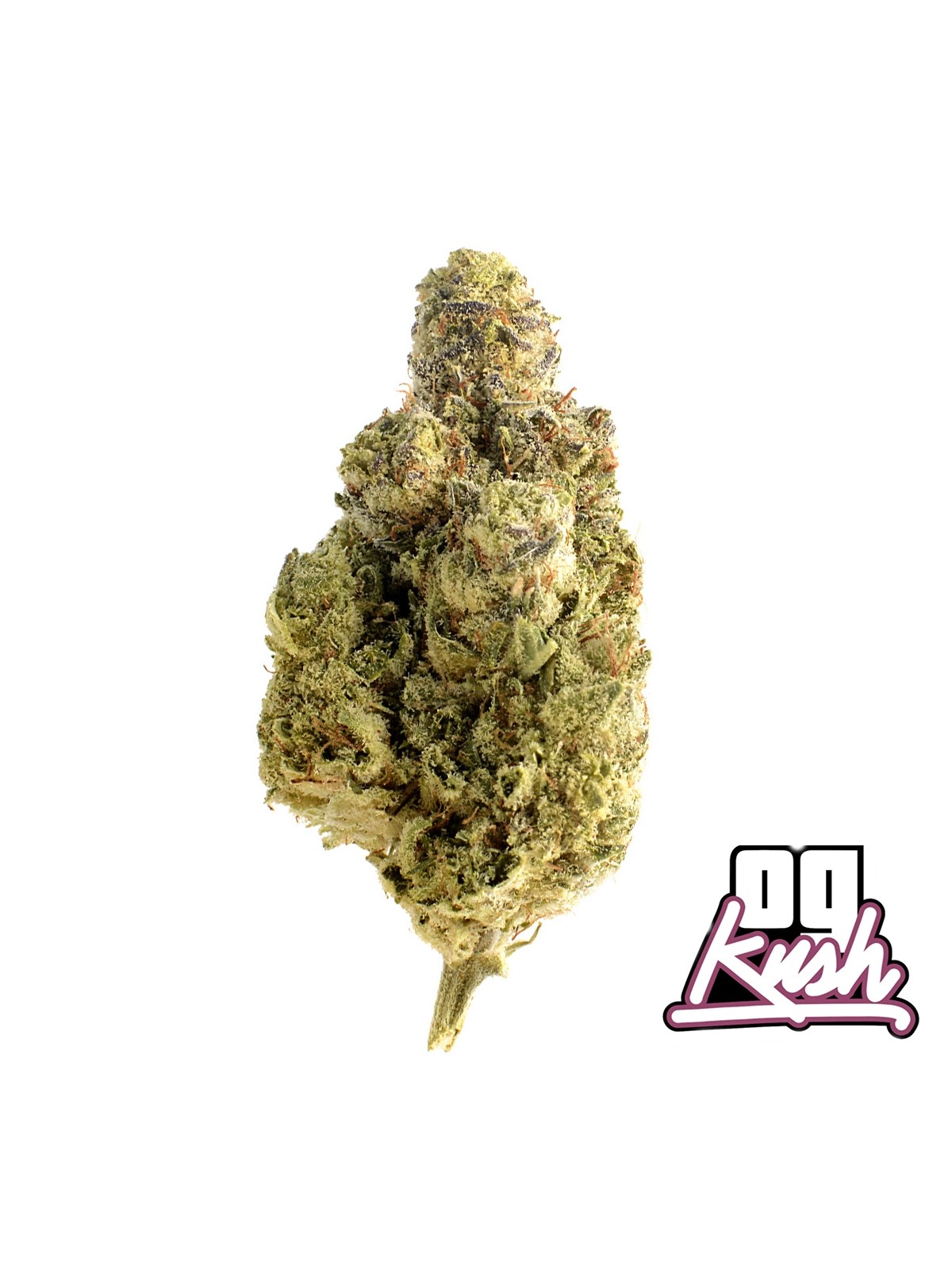 Fleurs de CBD pour pot pourri OG Kush