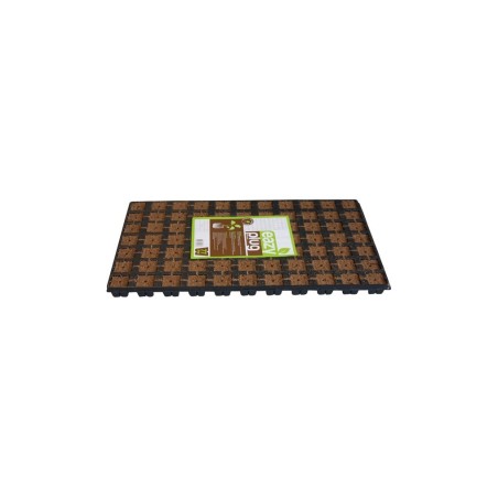 Plaque de 77 cubes de germination de Eazyplugs