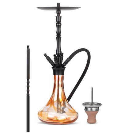 Chicha Aladin Alux Tetra