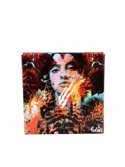 Paquet de feuilles d'aluminium Predator