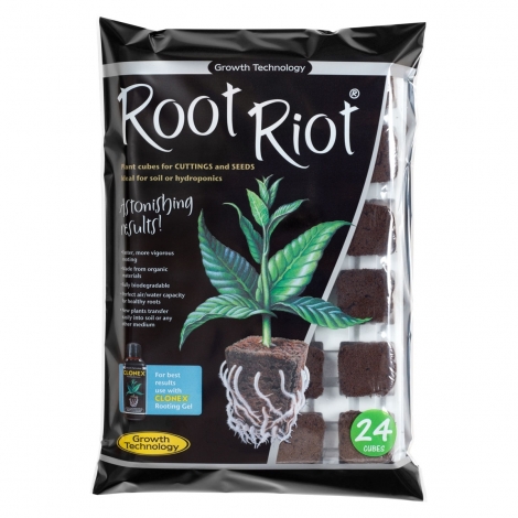 Root Riot - Plateau de 24 cubes