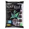 Root Riot - 24 cubes de germination