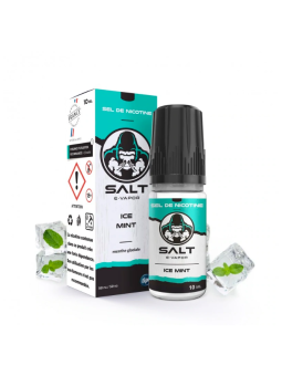 Ice Mint Salt e-vapor 10 mL de Le French Liquide