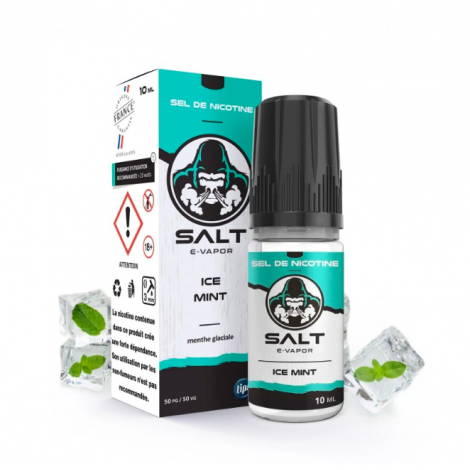 Ice Mint Salt e-vapor 10 mL de Le French Liquide
