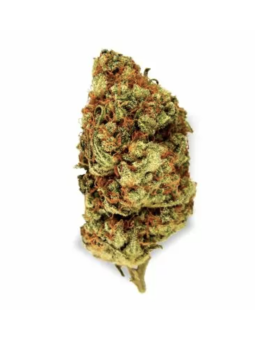 Fleurs CBD Orange Bud
