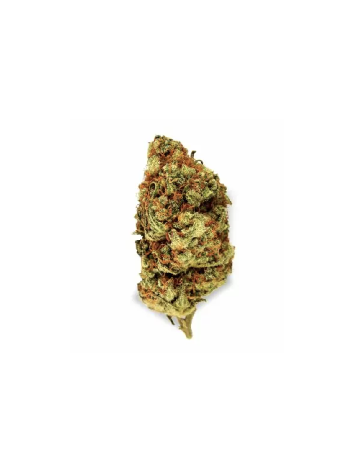 Fleurs CBD Orange Bud