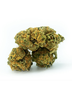 Fleurs CBD Orangello