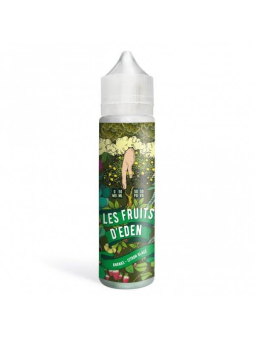 ananas citron glacé Le Coq Qui Vape