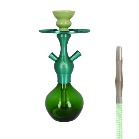 Chicha El-Badia C1 verte