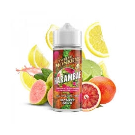 Harambae 100ml de chez Twelves Monkeys