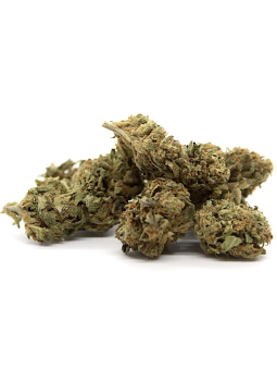 Fleurs de CBD Strawberry