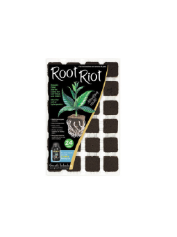 Plaque de 24 cubes de germination Root riot