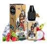 Licorne Sels de Nicotine 10ml