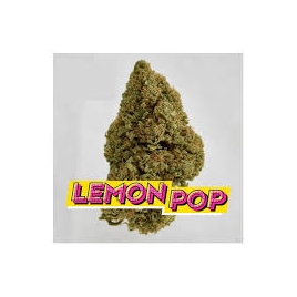Fleurs Cbd Lemon POP
