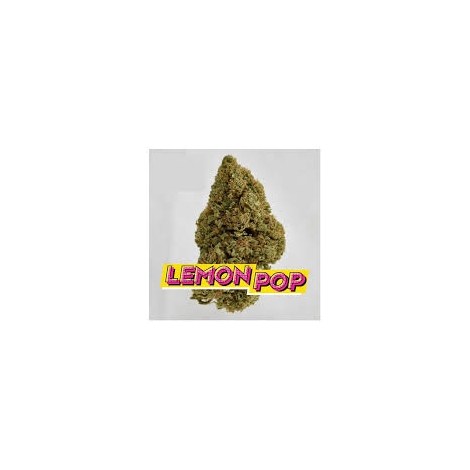 Fleurs Cbd Lemon POP