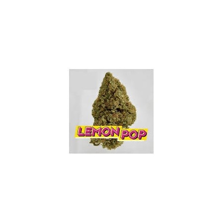 Fleurs Cbd Lemon POP