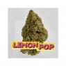 Fleurs Cbd Lemon POP