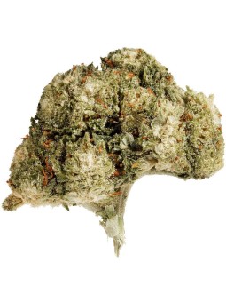 Fleurs Cbd Monster Kush