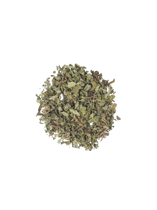 Infusion Menthe CBD 50g