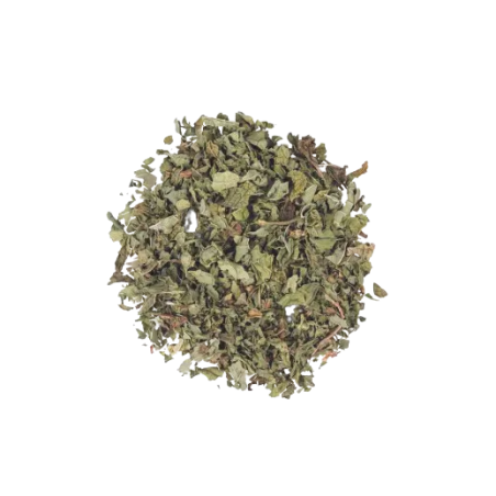 Infusion Menthe CBD 50g