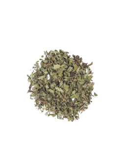 Infusion Menthe CBD 100g