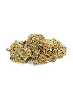 Lemon Grace CBD IN