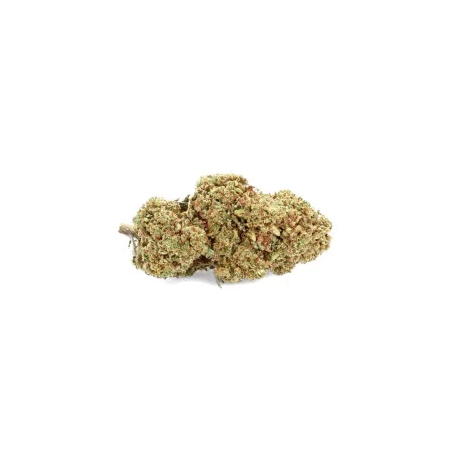 Lemon Grace CBD IN