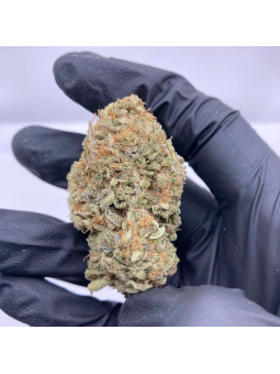 Dark Saphir CBD GR