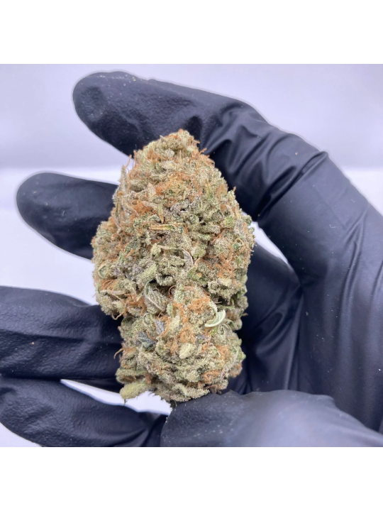Dark Saphir CBD GR