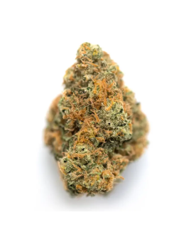 Orange Bitter CBD GR