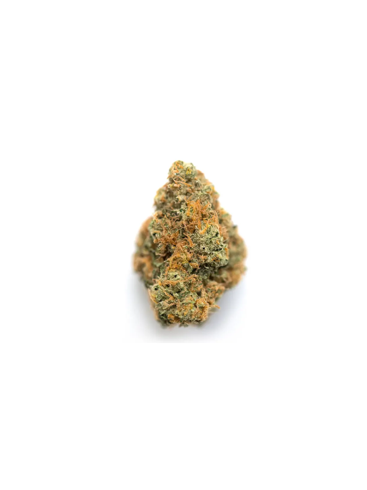 Orange Bitter CBD GR