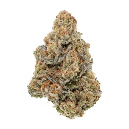 Gas Gas Fleur de CBD